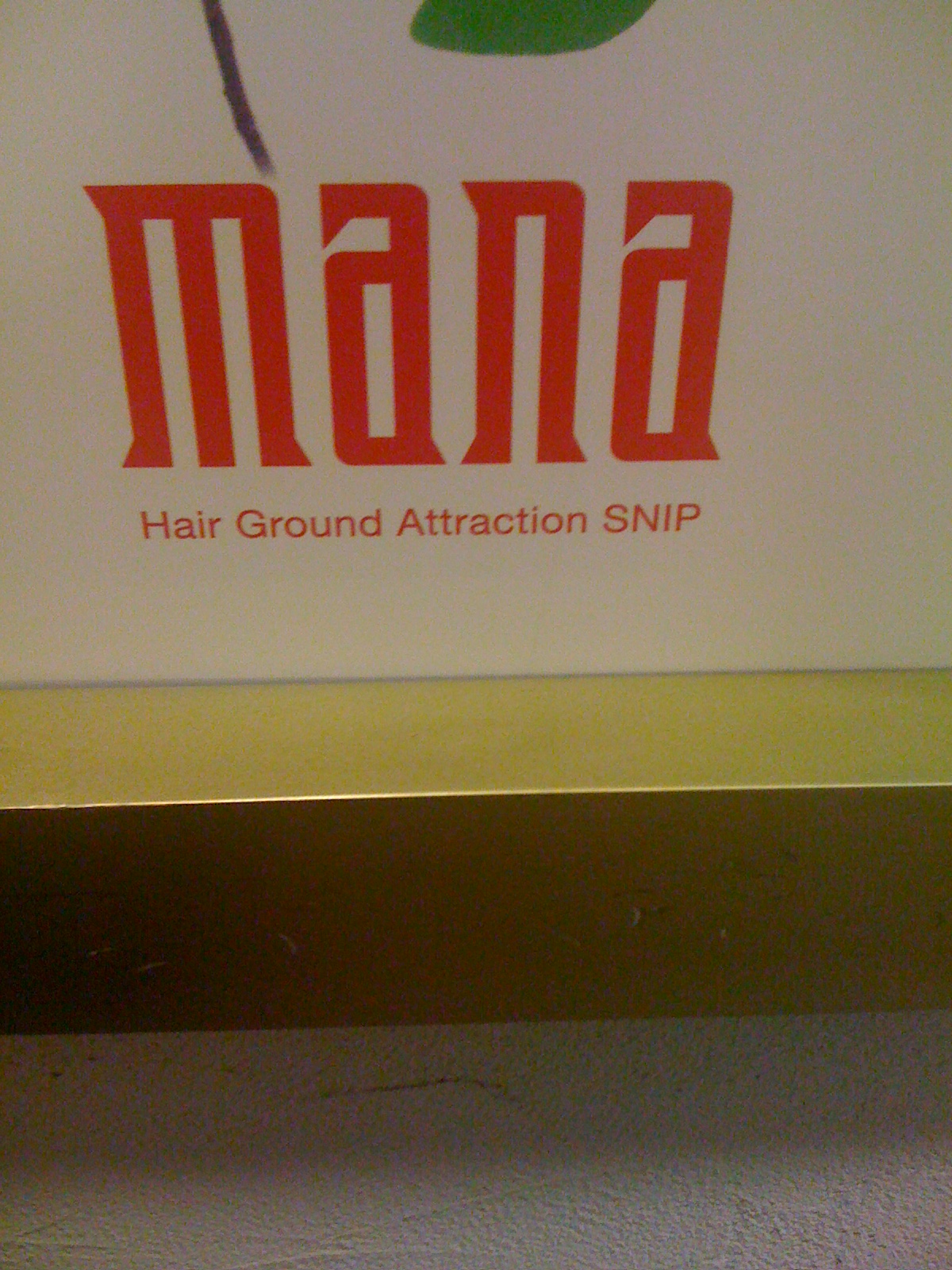 Japlish Hair Ground Attraction